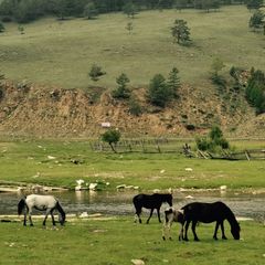 Агротуристический комплекс Eastories farm, Ольхонский район, Иркутская область