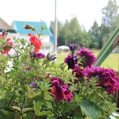 База отдыха Хивитек, Вышневолоцкий район, Тверская область