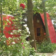 База отдыха Солнечное, Алушта, Крым