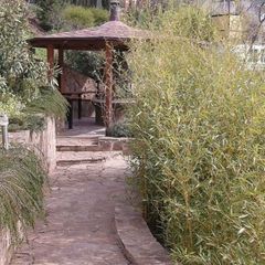 База отдыха Таврида-Азот, Алушта, Крым