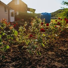 Конно-туристическая база Ход конем, Белогорский район, Крым