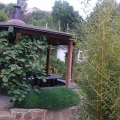 База отдыха Таврида-Азот, Алушта, Крым