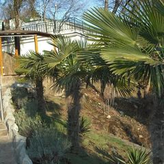 База отдыха Таврида-Азот, Алушта, Крым