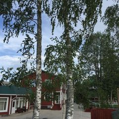 База отдыха Седьмой Берег, Осташковский район, Тверская область