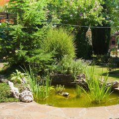 Гостевой дом Эдем (Судак, Крым), Алушта, Крым