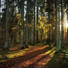 База отдыха Седьмой Берег, Осташковский район, Тверская область