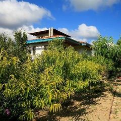 Гостевой дом Бахитгуль, Севастополь, Крым