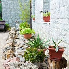 Гостевой дом Эдем (Судак, Крым), Алушта, Крым