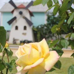 Гостевой дом Фонарь и мельница, Феодосия, Крым
