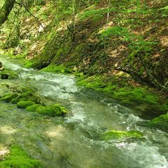 Отель Горец, Севастополь, Крым