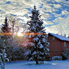 База отдыха Сабо, Лужский район, Ленинградская область