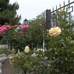 Гостевой дом Rivera Коктебель, Феодосия, Крым
