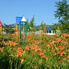 База отдыха Орлиное, Севастополь, Крым