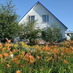 База отдыха Орлиное, Севастополь, Крым