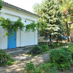 База отдыха Голубые ели, Анапа, Краснодарский край