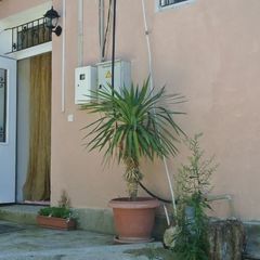 Гостевой дом Понизовка, Севастополь, Крым