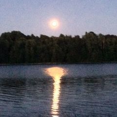 База отдыха Сабо, Лужский район, Ленинградская область