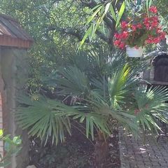 Гостевой дом Понизовка, Севастополь, Крым