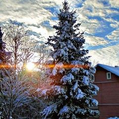 База отдыха Сабо, Лужский район, Ленинградская область