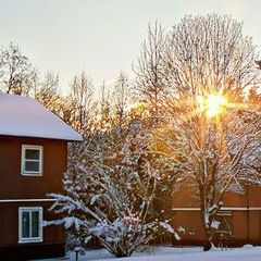 База отдыха Сабо, Лужский район, Ленинградская область