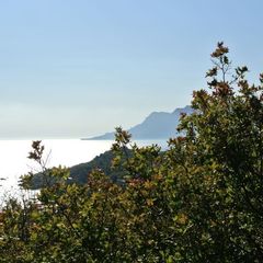 Гостевой дом Понизовка, Севастополь, Крым