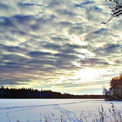 База отдыха Сабо, Лужский район, Ленинградская область