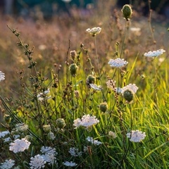 Усадьба Рыбацкий хутор, Севастополь, Крым