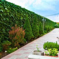 Гостевой дом Белый лев, Севастополь, Крым