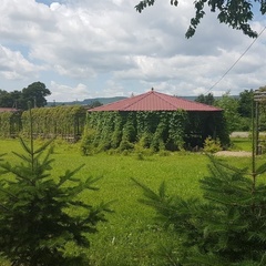 База отдыха Таёжная поляна, Уссурийск, Приморский край