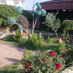 Мини-отель Ранчо, Сакский район, Крым