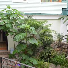 Гостевой дом Райский уголок, Севастополь, Крым