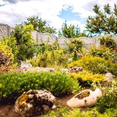 Гостевой дом Астерия, Севастополь, Крым