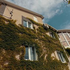 Гостевой дом Сиеста, Севастополь, Крым