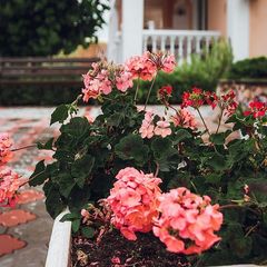 Гостевой дом Морская феерия, Севастополь, Крым