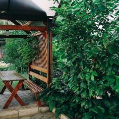 Гостевой дом Сиеста, Севастополь, Крым