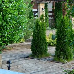 Вилла Villa Rosa, Севастополь, Крым