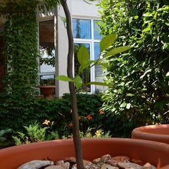 Вилла Villa Rosa, Севастополь, Крым