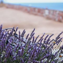 Гостевой дом Морская феерия, Севастополь, Крым