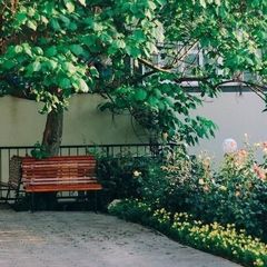 Гостевой дом Сиеста, Севастополь, Крым