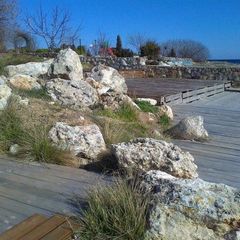 Вилла Villa Rosa, Севастополь, Крым