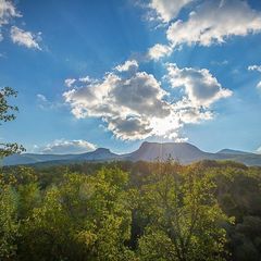 Лесной отель Пальмира, Севастополь, Крым