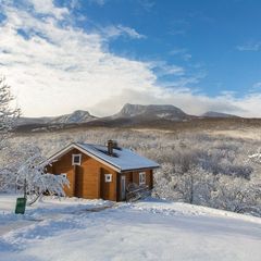 Лесной отель Пальмира, Севастополь, Крым