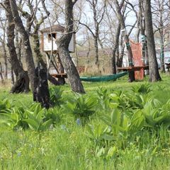 Усадьба 38 самураев, Находка, Приморский край