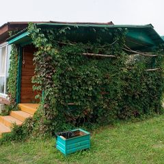 База отдыха Лукоморье, Находка, Приморский край