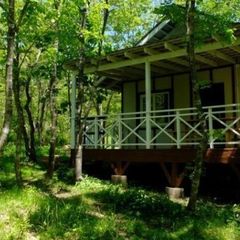 Усадьба Наяда-Витязь, Хасанский район, Приморский край