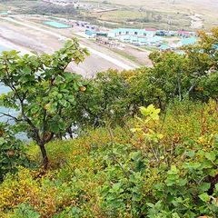 База отдыха Утёс, Хасанский район, Приморский край