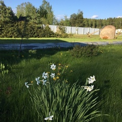 Усадьба У Кузьмича, Пошехонский район, Ярославская область