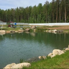 Усадьба У Кузьмича, Пошехонский район, Ярославская область