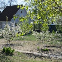 База отдыха Динамо, Камызякский район, Астраханская область
