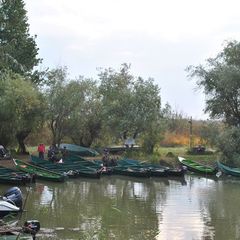 База отдыха Динамо, Камызякский район, Астраханская область